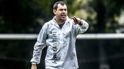 Carille fechou 4 reforços para o Santos. Foto: Ivan Storti- Santos FC