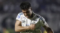 Marcos Leonardo entrou novamente na mira do Corinthians, diz jornalista - Foto: Ricardo Moreira/Getty Images)