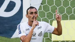 Pituca está de volta ao Peixão. Foto: Alexandre Schneider/Getty Images.