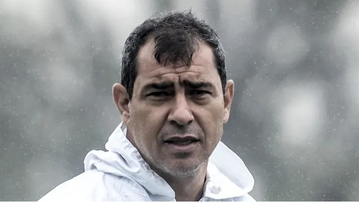 Carille pode receber reforço no Santos. Foto: Ivan Storti/Santos FC