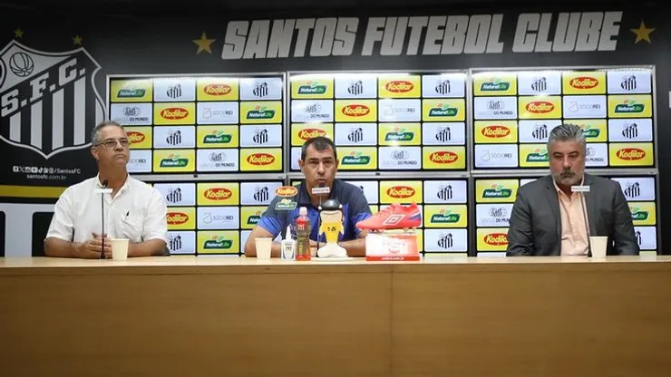 Fábio Carille. Foto : Pedro Ernesto Guerra Azevedo/SAntos FC