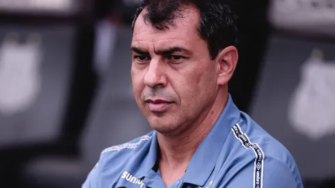 Fabio Carille vai retornar ao Santos. Foto: Ettore Chiereguini/AGIF