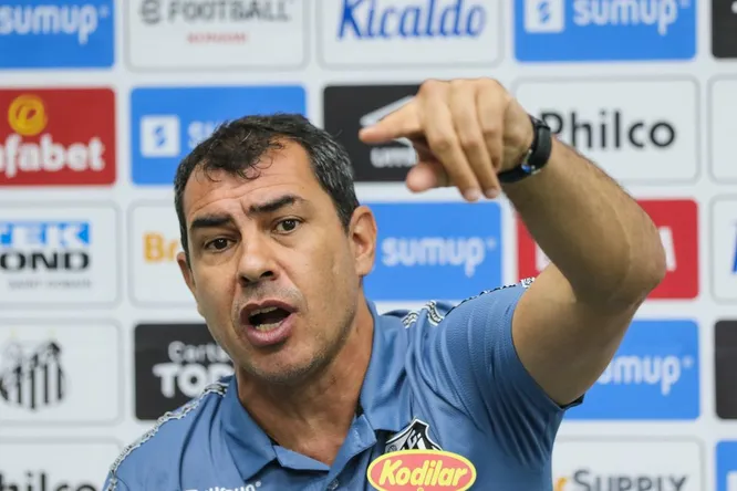 Carille acerta volta ao Santos. Foto: Luiz Erbes/AGIF