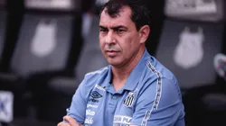 Santos acerta a contratação de Fábio Carille. Foto: Ettore Chiereguini/AGIF
