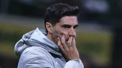 Técnico do Palmeiras avisou a diretoria - Foto: Ettore Chiereguini/AGIF.