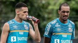 Kaiky e Luiz Felipe, zagueiros que passaram pelo Santos - Foto: Ivan Storti/Santos FC