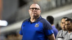 Marcelo Fernandes, técnico do Santos - Foto: Abner Dourado/AGIF