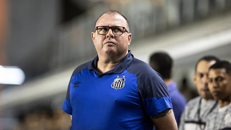 Marcelo Fernandes, técnico do Santos - Foto: Abner Dourado/AGIF