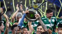 MG - BELO HORIZONTE - 06/12/2023 - BRASILEIRO A 2023, CRUZEIRO X PALMEIRAS - Jogadores do Palmeiras comemoram titulo de campeao apos partida contra o Cruzeiro no estadio Mineirao pela decisao do campeonato Brasileiro A 2023. Foto: Fernando Moreno/AGIF