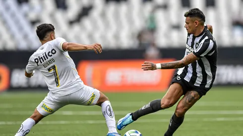Botafogo e Santos jogaram pelo returno do Brasileirão no Estádio Nilton Santos (Foto: Thiago Ribeiro/AGIF)
