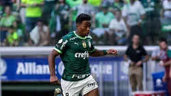 Palmeiras de Endrick: Confirmação do título parece questão de tempo (Foto: Fabio Giannelli/AGIF)