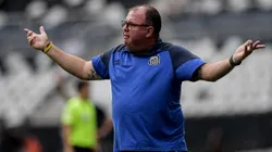 RJ - RIO DE JANEIRO - 26/11/2023 - BRASILEIRO A 2023, BOTAFOGO X SANTOS - Marcelo Fernandes tecnico do Santos durante partida contra o Botafogo no estadio Engenhao pelo campeonato Brasileiro A 2023. Foto: Thiago Ribeiro/AGIF