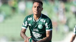 Bruninho jogador do Guarani comemora seu gol durante partida contra o Tombense no estadio Brinco de Ouro pelo campeonato Brasileiro B 2023. Foto: Diogo Reis/AGIF