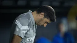 Palmeiras tem problema contra o Fluminense - Foto: Fabio Moreira Pinto/AGIF