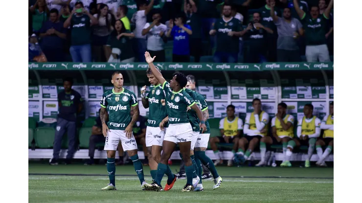 Palmeiras enfrentou o América Mineiro no Allianz Parque, pela rodada 36 do Brasileirão (Foto: Marcello Zambrana/AGIF)