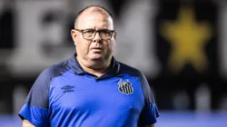 Marcelo Fernandes, técnico do Santos, durante partida contra o Fluminense na Vila Belmiro pelo Campeonato Brasileiro - Foto: Abner Dourado/AGIF
