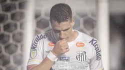 Santos não está na Copa do Brasil 2024. Fotos- Raul Baretta/ Santos FC.