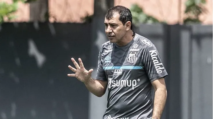 Torcida do Santos se preocuupa com situação de defensot contra o Palmeiras. Foto: Ivan Storti/Santos FC