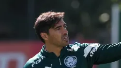 Foto: Cesar Greco/Palmeiras - Abel recebe notícia de última hora sobre titular