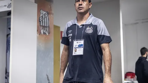 Foto: Raul Baretta/ Santos FC - Carille se sente mais leve no Santos