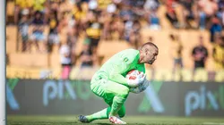 Foto: Pedro Zacchi/AGIF - Weverton falhou em empate do Palmeiras