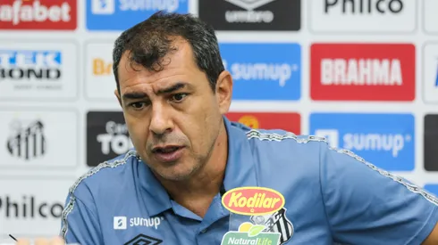 Foto: Luiz Erbes/AGIF - Carille receberá quatro 'caras novas' no Santos