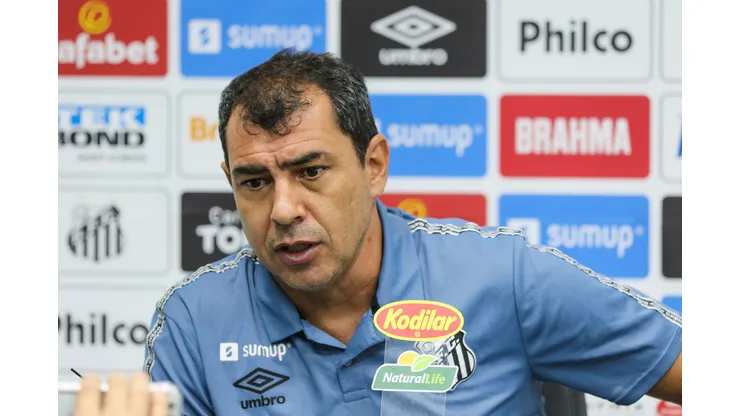 Foto: Luiz Erbes/AGIF - Carille receberá quatro 'caras novas' no Santos