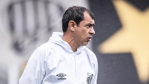 Fábio Carille vem trabalhando em conjunto com a diretoria para qualificar o elenco