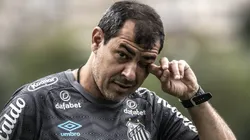 Fábio Carille tem um novo cenário após atitude do Santos - Foto: Ivan Storti/Santos FC