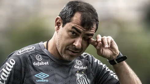 Fábio Carille tem um novo cenário após atitude do Santos - Foto: Ivan Storti/Santos FC