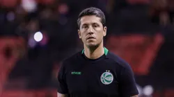 São Paulo abre negociação para assinar com Thiago Carpini. Foto: Rafael Vieira/AGIF