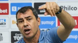 Fábio Carille, treinador do Santos - Foto: Luiz Erbes/AGIF