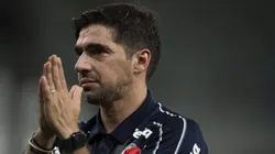 Técnico do Palmeiras já pediu novidades - Foto: Jorge Rodrigues/AGIF.