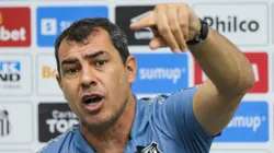 Técnico do Santos terá mais uma novidade no elenco - Foto: Luiz Erbes/AGIF.