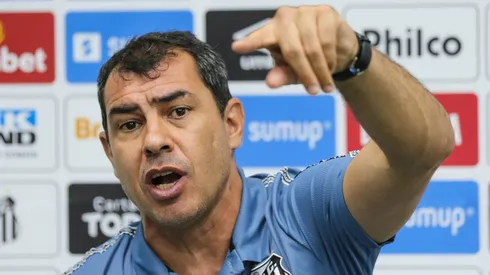 Técnico do Santos terá mais uma novidade no elenco - Foto: Luiz Erbes/AGIF.