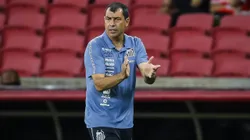 Fábio Carille durante a primeira passagem no Peixe. Foto: Pedro H. Tesch/AGIF