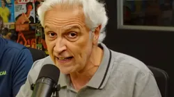 Fábio Sormani, jornalista e comentarista - Foto: Reprodução / Placar TV