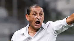 Ramon Diaz tecnico do Vasco durante partida contra o Cruzeiro no estadio Mineirao pelo campeonato Brasileiro A 2023. Gilson Lobo/AGIF