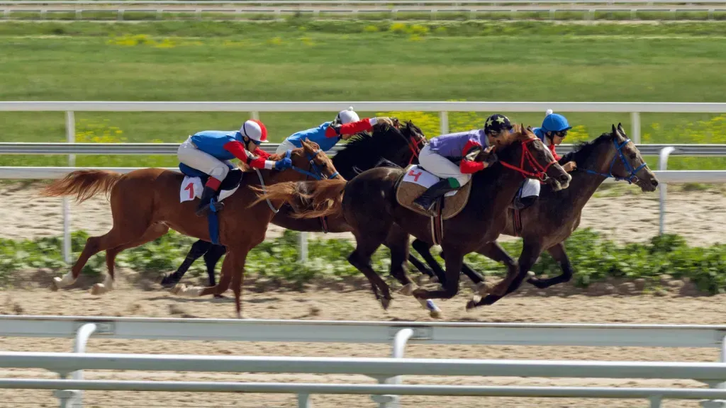 Corrida de cavalos, com 4 cavalos castanhos e os cavaleiros equipados em tons de branco, azul, vermelho e violeta.