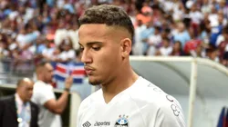 Gustavo Martins é pauta nos bastidores do Imortal - Foto: Walmir Cirne/AGIF