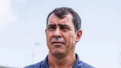 Carille vence mais um jogo no Peixe. Foto: Abner Dourado/AGIF