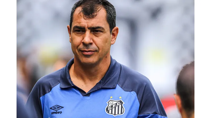 Foto: Reinaldo Campos/AGIF - Carille vai gostar do novo reforço