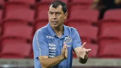 Camisa 7 tem moral com Carille no Santos - Foto: Pedro H. Tesch/AGIF.