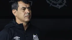 Fábio Carille, treinador do Santos.