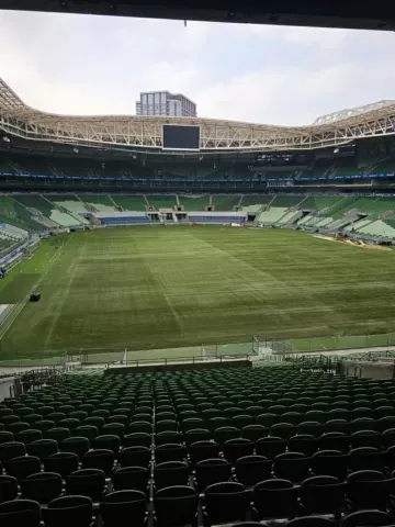 Novo Gramado do Allianz Parque. Foto: Reprodução