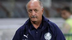 Felipão virou pivô de debates desde que foi especulado no Tricolor