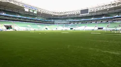 Palmeiras não deve encarar Novorizontino no Allianz Parque. Foto: César Greco- Palmeiras