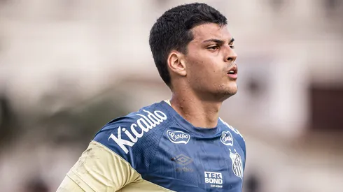 Brazão foi o reforço anunciado pelo Peixe para concorrência com João Paulo - Foto: Raul Baretta/Santos FC