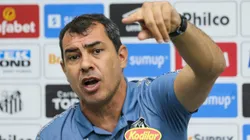 Carille vai influenciar em uma peça no Palmeiras - Foto: Luiz Erbes/AGIF.