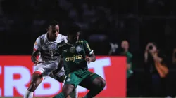 São Paulo enfrenta o Palmeiras na segunda (29), pela 4ª rodada do Brasileirão.